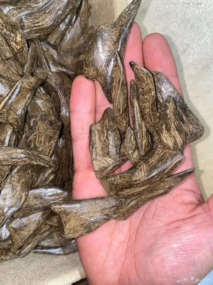 عود بخور طبيعي محسن مروكي دبل سوبر ملكي 0