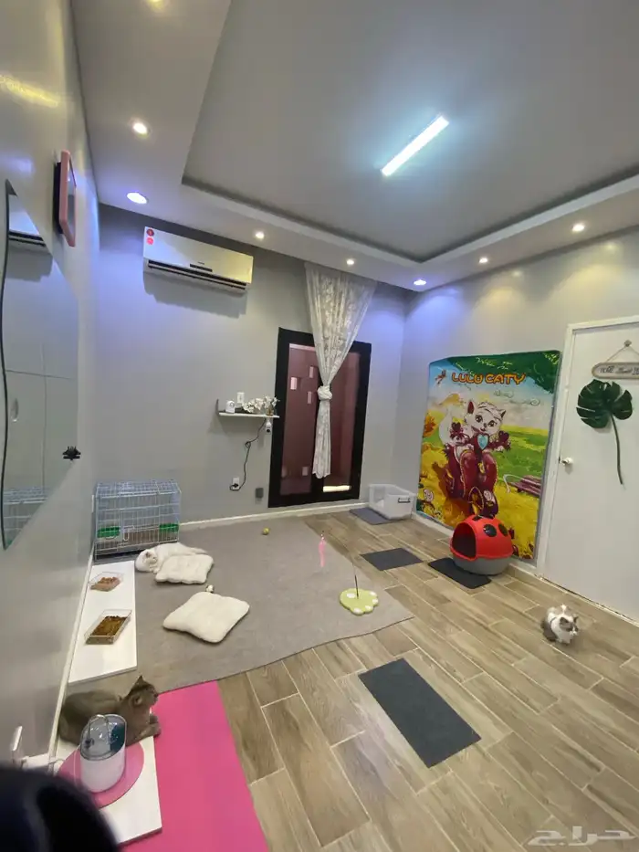 فندقة قطط هوووم سويت 25