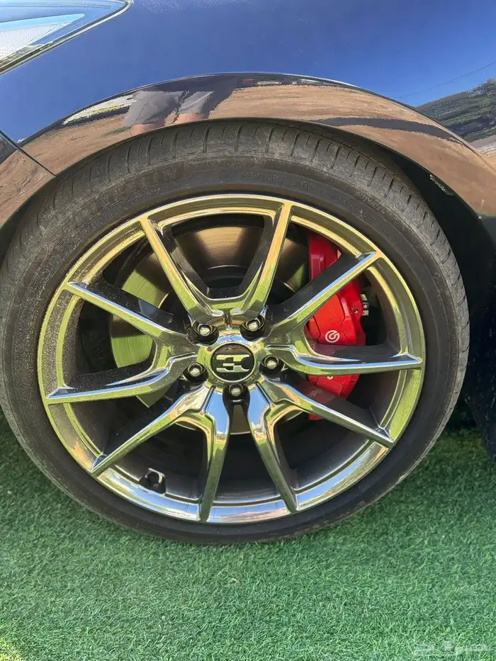 Stinger 2019 9
