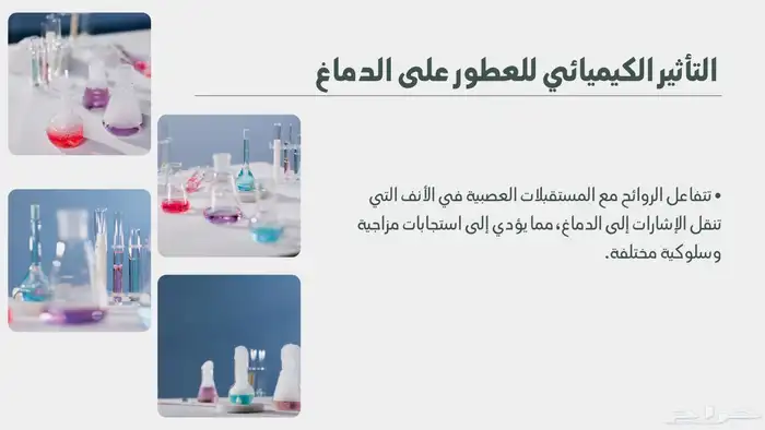 عمل ابحاث علمية وعروض تقديمية 6