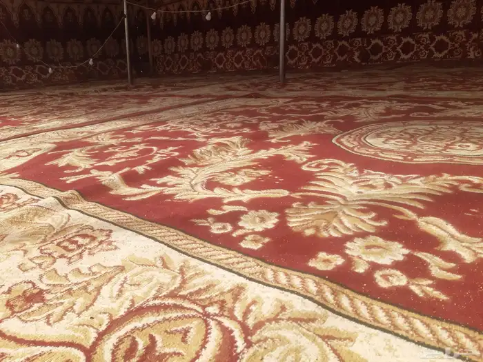 تاجير مخيمات الرياض 13