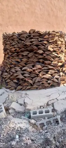 للبيع كرب نخيل للمندي وتدفئة 3