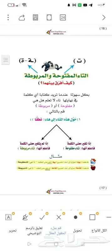 معلمه متابعه وتأسيس جميع المواد منهج سعودي وأهلي وانترناشيون 3