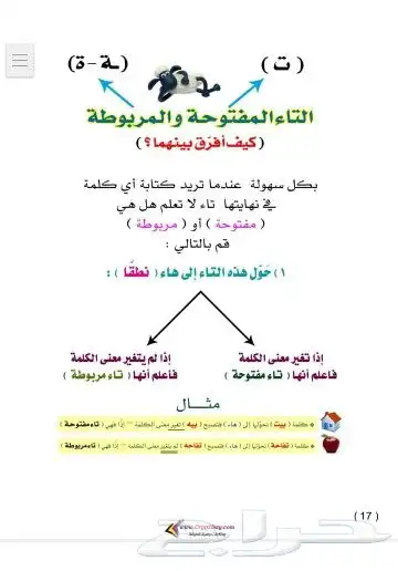 معلمه متابعه وتأسيس جميع المواد منهج سعودي وأهلي وانترناشيون 5
