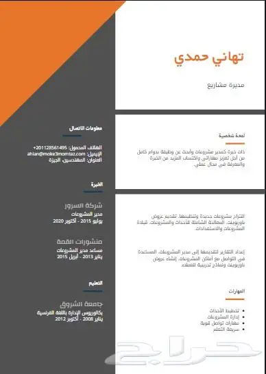 تصميم سيرة ذاتية عربي انجليزي بسعر رمزي CV 0