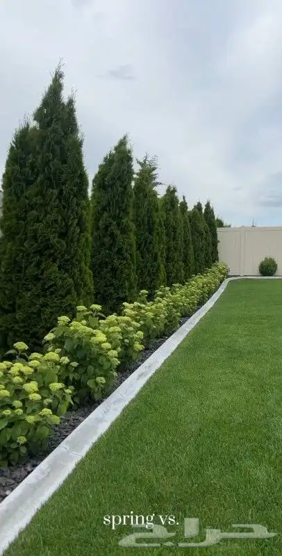 تنسيق حدائق حديثه 0