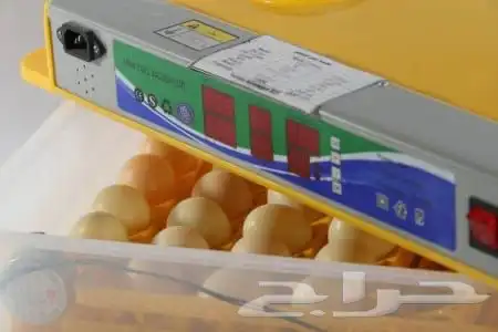 فقاسة جميع احجام مع هدايا وضمان و شحن مجاني 7