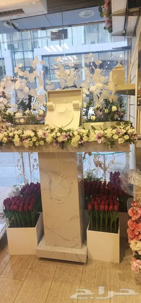 عربيات ملكه بجميع الاشكال 23