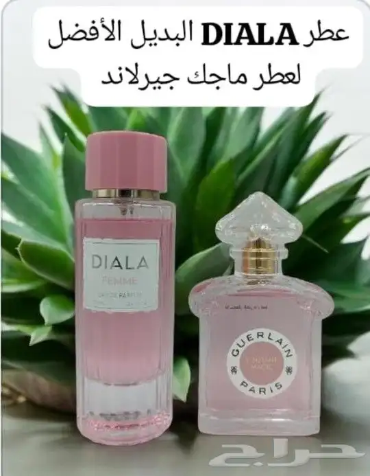 جملةعطورات 1