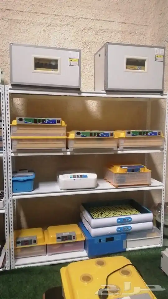 فقاسة جميع احجام مع هدايا وضمان و شحن مجاني 6