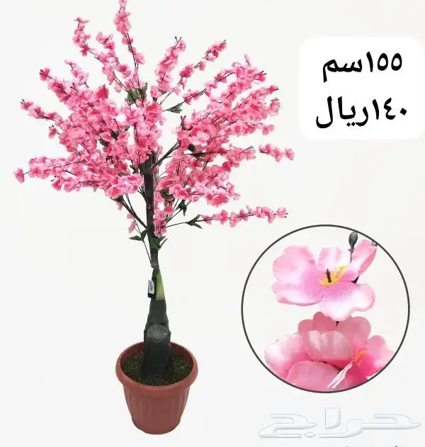 شجر بورد ملون 16