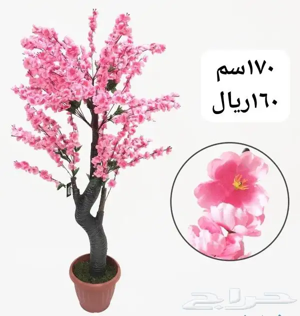 شجر بورد ملون 18