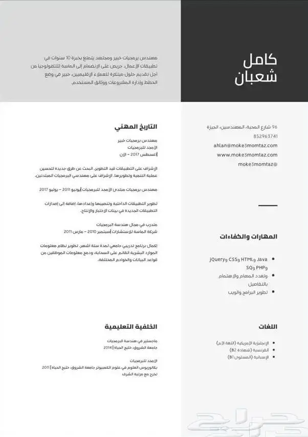 تصميم سيرة ذاتية عربي انجليزي بسعر رمزي CV 1