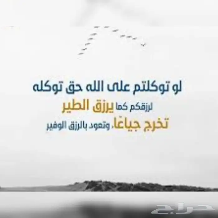 توصيل مشاوير يوميه او شهريه مدارس ودوامات 0