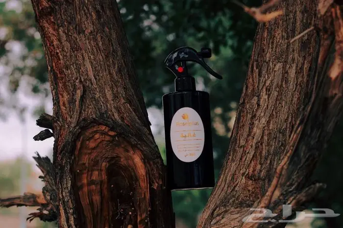 معطر جو ومفارش من روز بلس 2