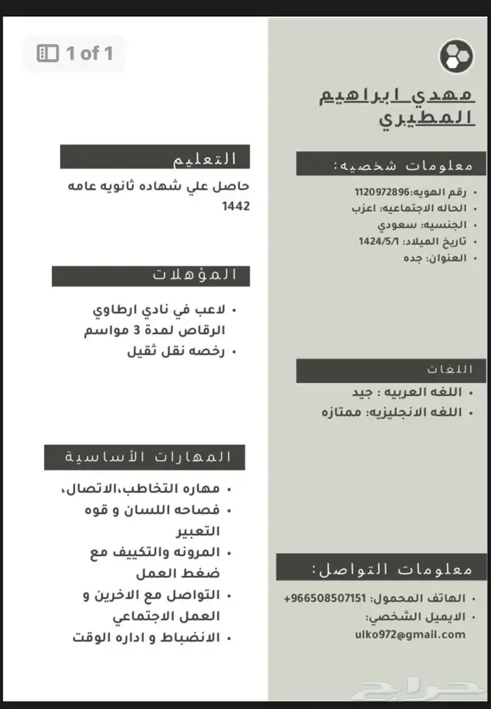 عمل cv احترافي سعر رمزي وتسليم سريع 0