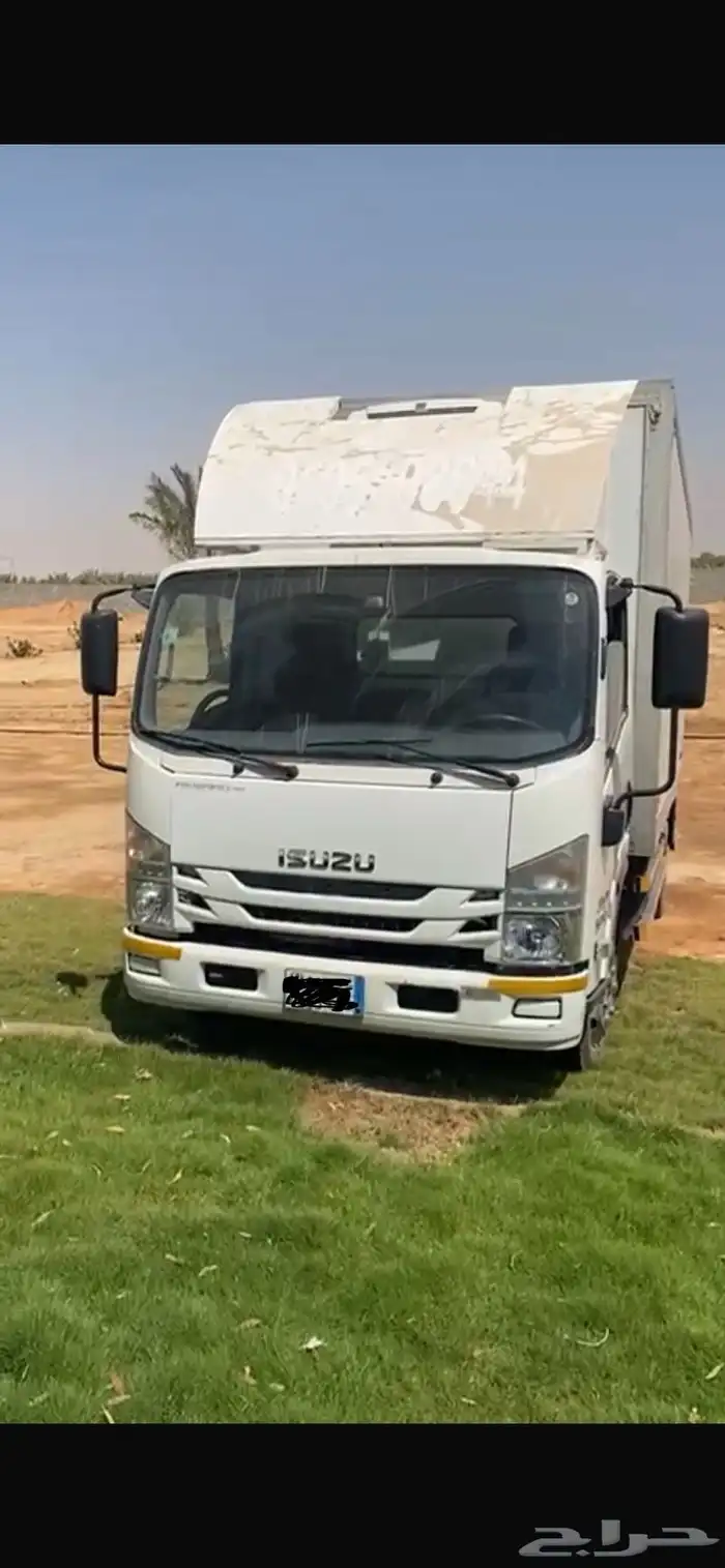دينا سيزو 0