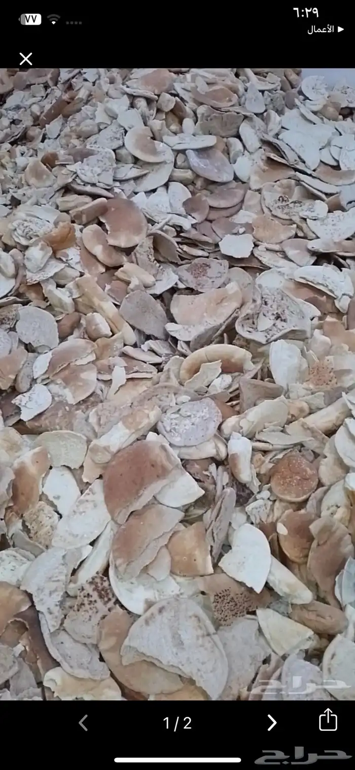 خبز مواشي 1