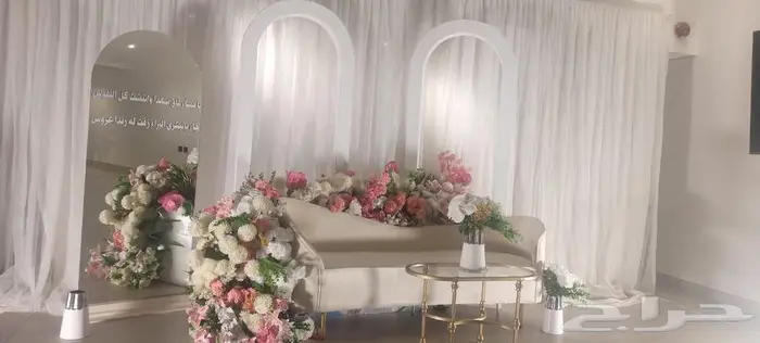 كوش ايجار 19