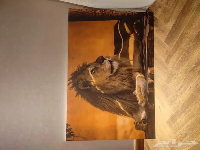 طباعة لوحات كانفس طباعة لوحات جدران 0