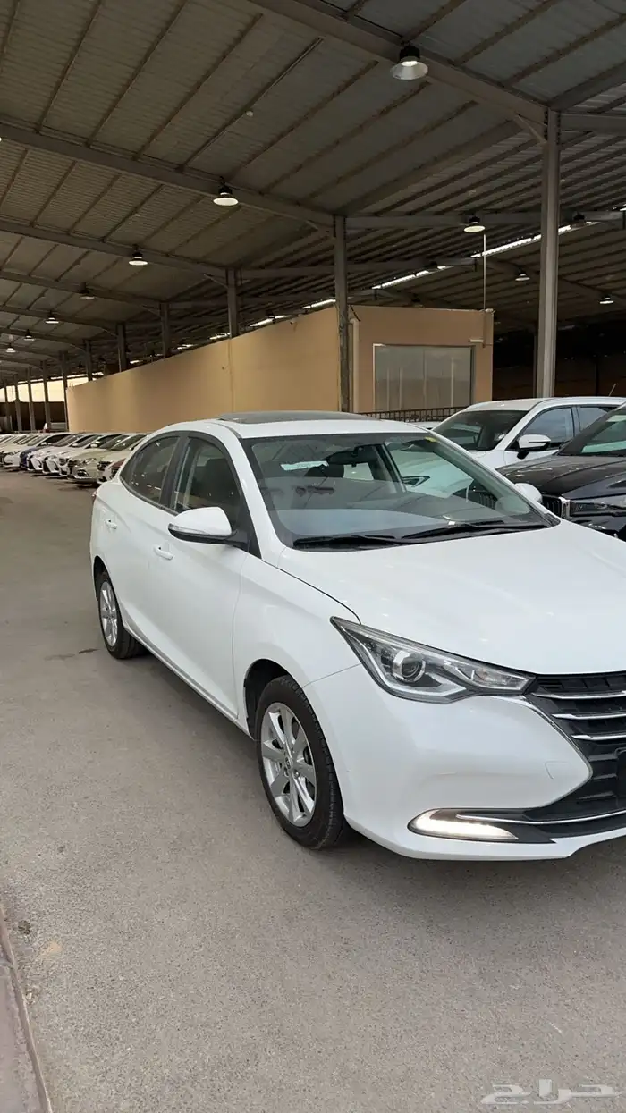 شانجان السفن 2025 1