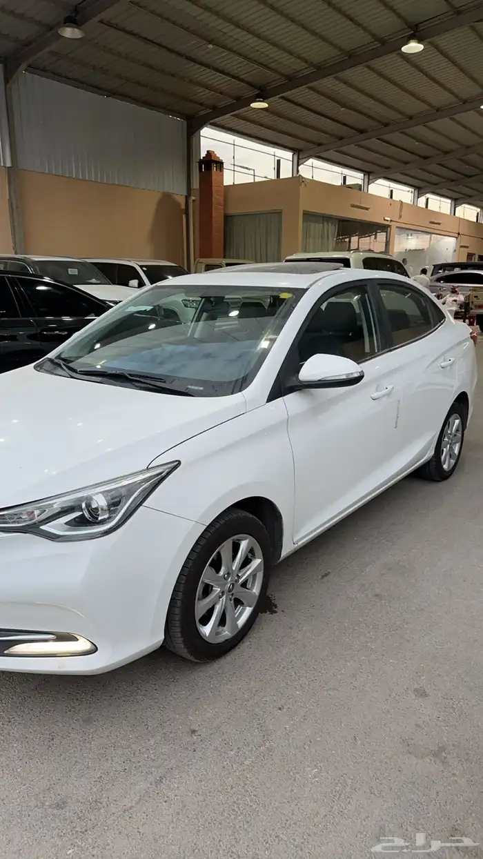 شانجان السفن 2025 2