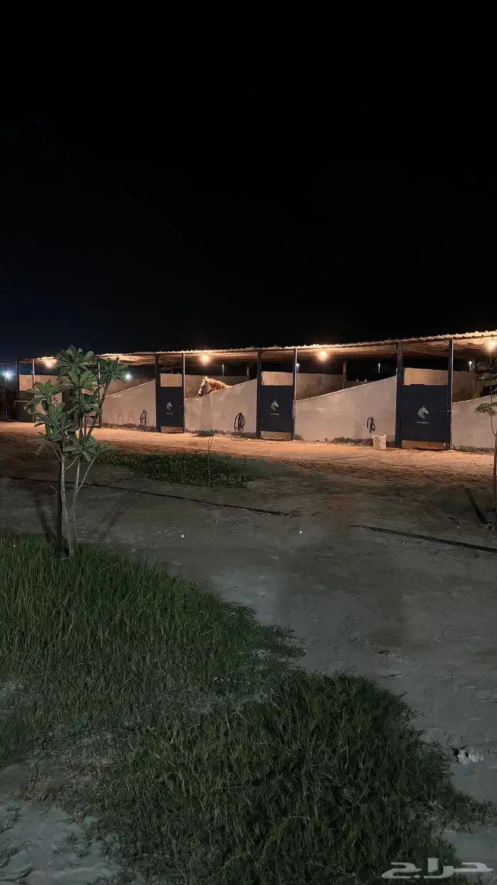 تدريب وايواء 1