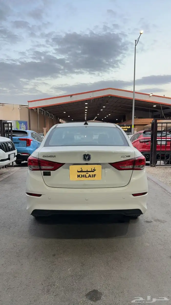 شانجان السفن 2025 4