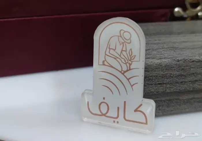 برش عمل تصميم حساب الطلب 14