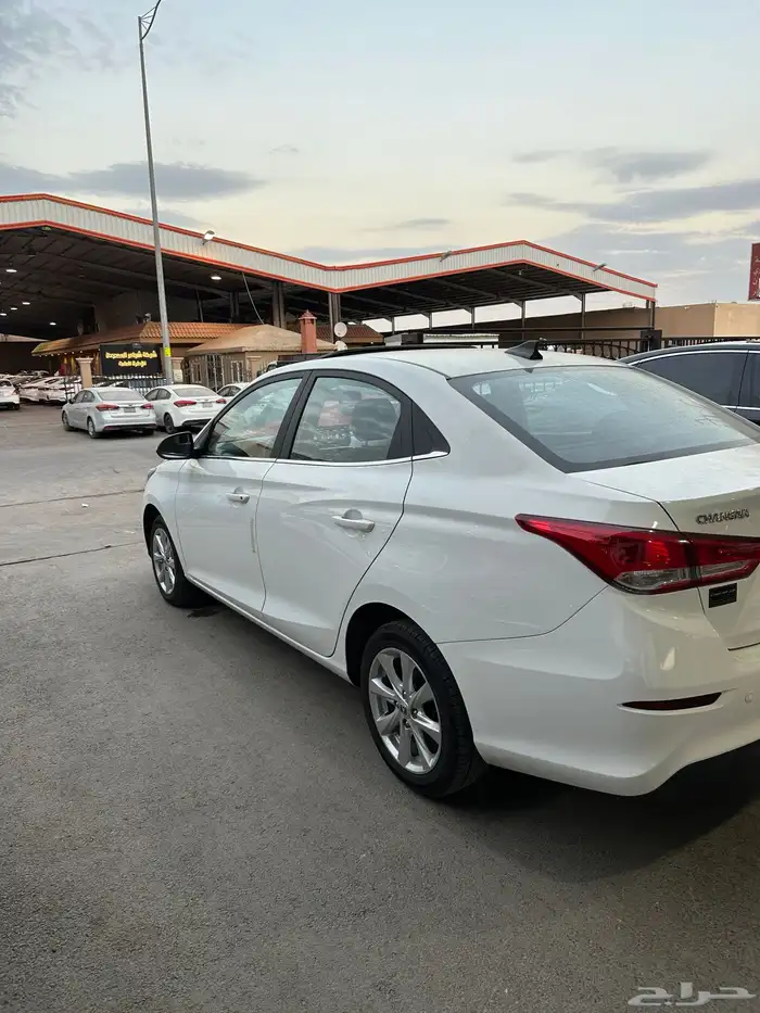 شانجان السفن 2025 5