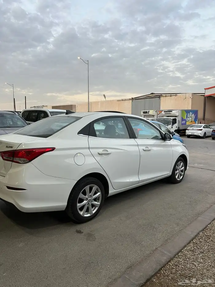 شانجان السفن 2025 6