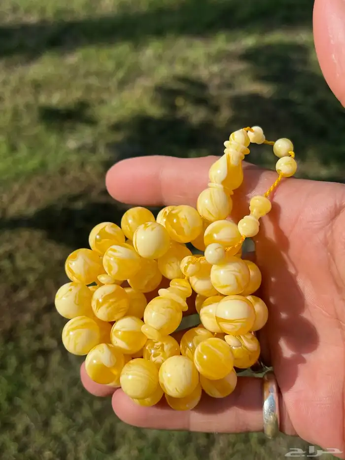 مسباح مستكه 7