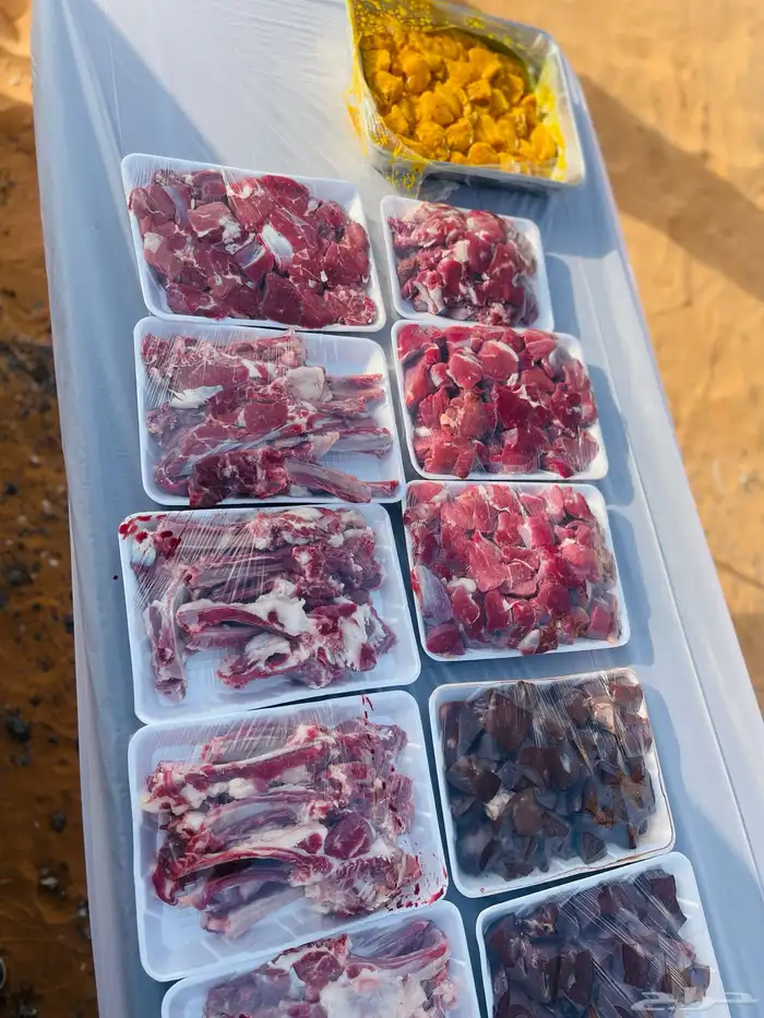 معلم مشويات مشاوي خارجيه في مواقعكم شواء 10