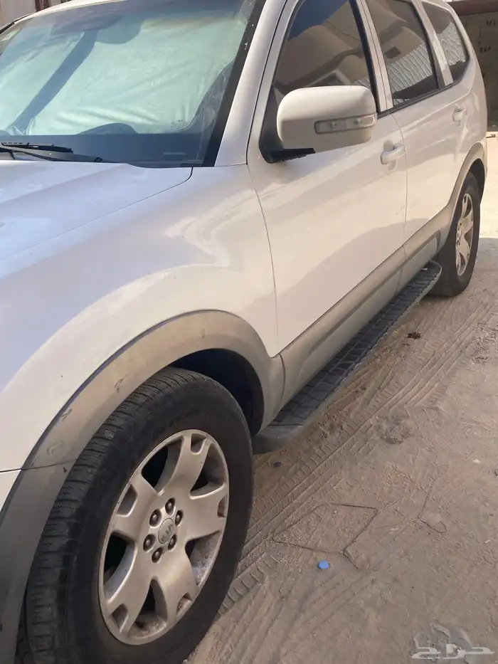 موهافي 6 سرندل دبل 2