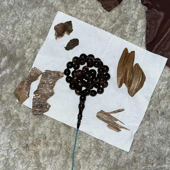 عود طبيعي   عود محسن 2