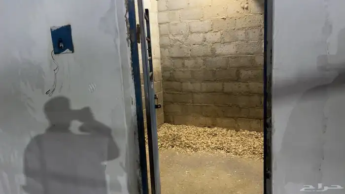 ايواء تدريب عسف ركوب جمال 6