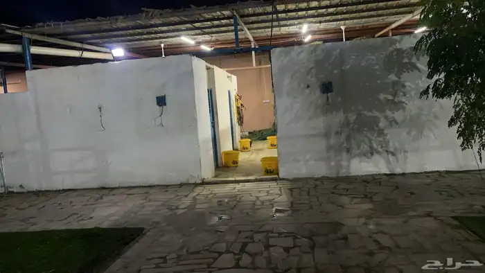 ايواء تدريب عسف ركوب جمال 2