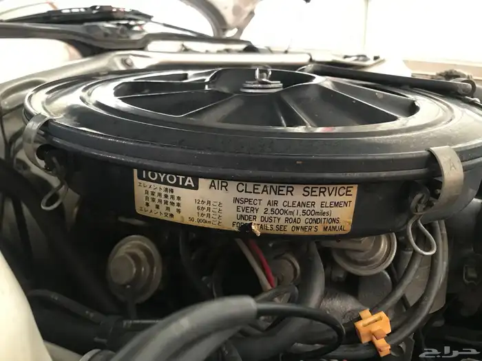 كرسيدا_XL_96 نظيف 34