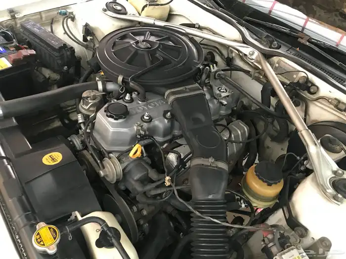 كرسيدا_XL_96 نظيف 38