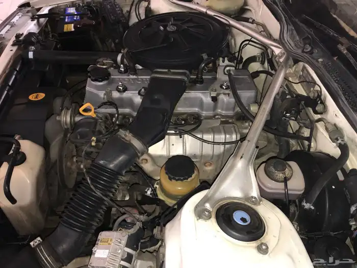 كرسيدا_XL_96 نظيف 29