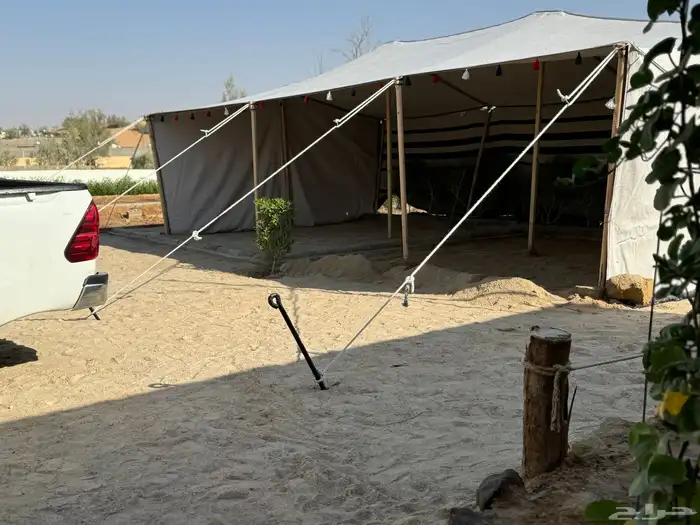 بيت شعر التركي الابيض 2