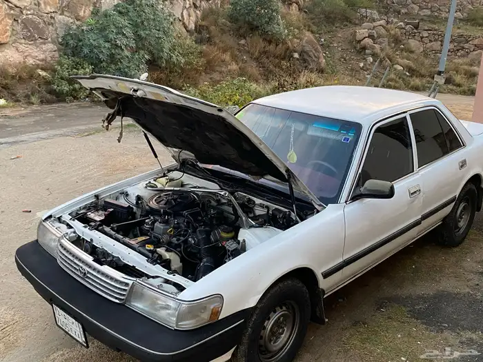 كرسيدا_XL_96 نظيف 16