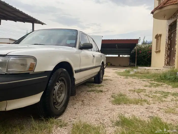 كرسيدا_XL_96 نظيف 20