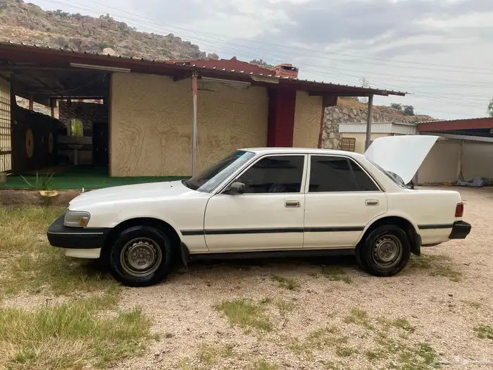 كرسيدا_XL_96 نظيف 19