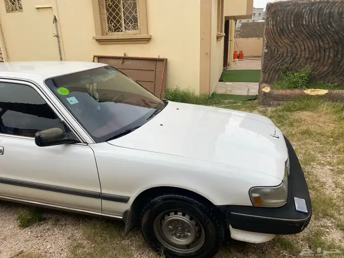 كرسيدا_XL_96 نظيف 21