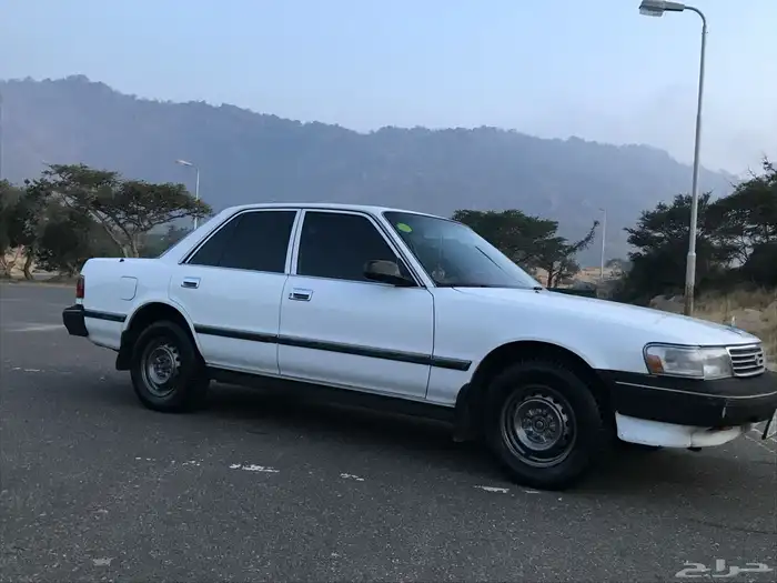 كرسيدا_XL_96 نظيف 24