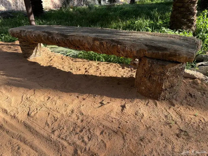 جريد سعف نخل عسيب 13