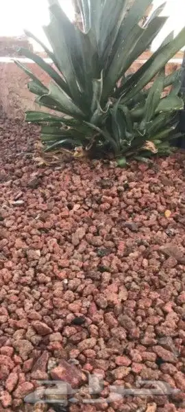 تربة زراعية للمشاتل والحدائق 3