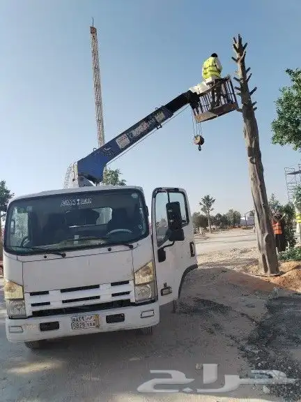 كرين كرينات للايجار رفعات شوكيه فوركلفت دينه ونش ترلات 4