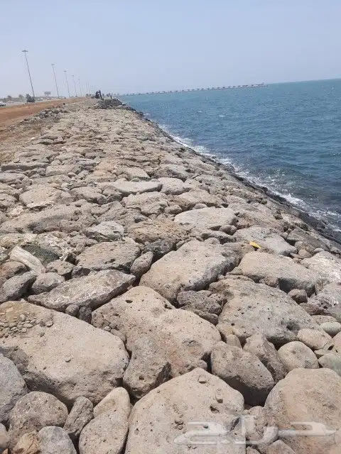 بوكلين شغل خجر أفغاني 8